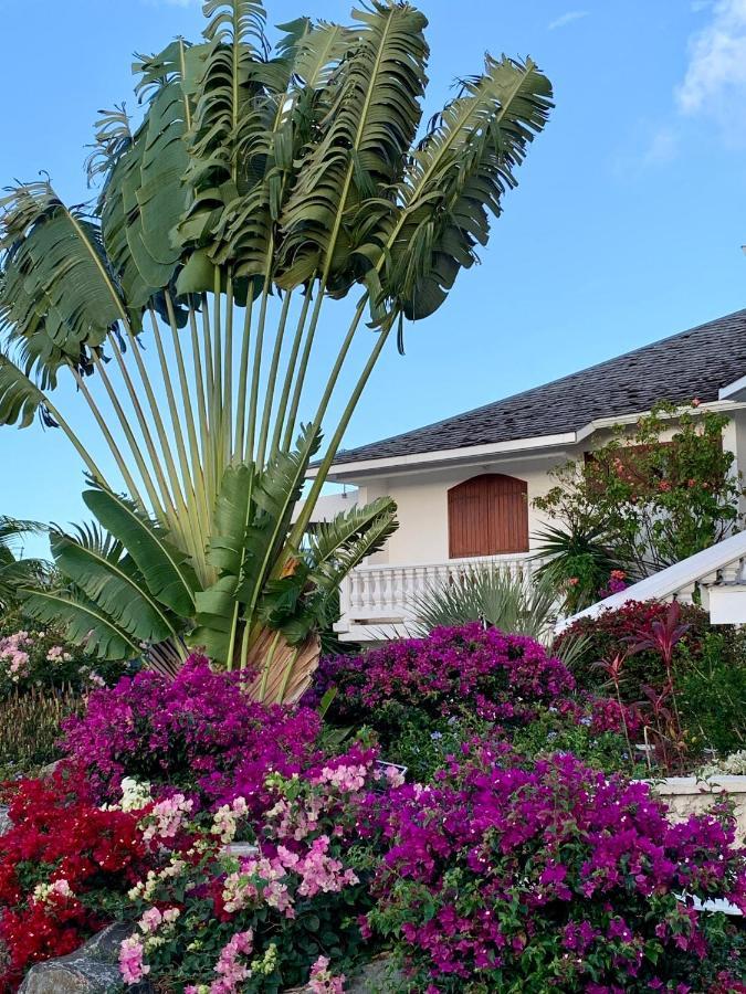 Domaine Saint-Francois Hotel Kültér fotó